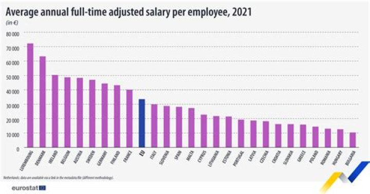 What is the average pay for business management?