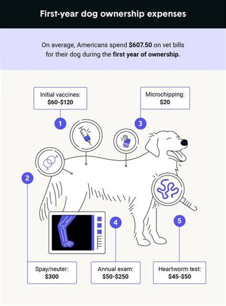 What is the average yearly vet bill for a dog?