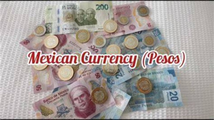 What is the basic unit of currency?