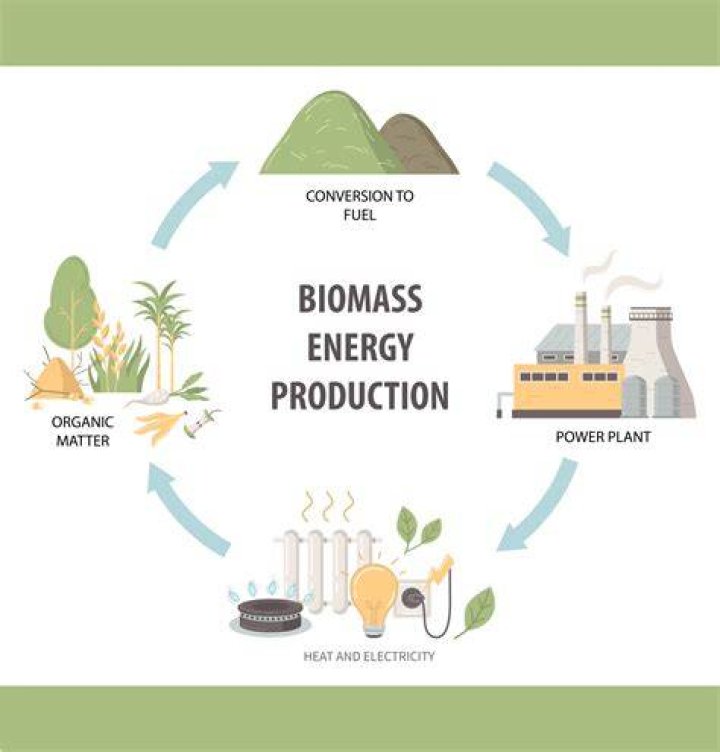 What is the cost of biomass per year?