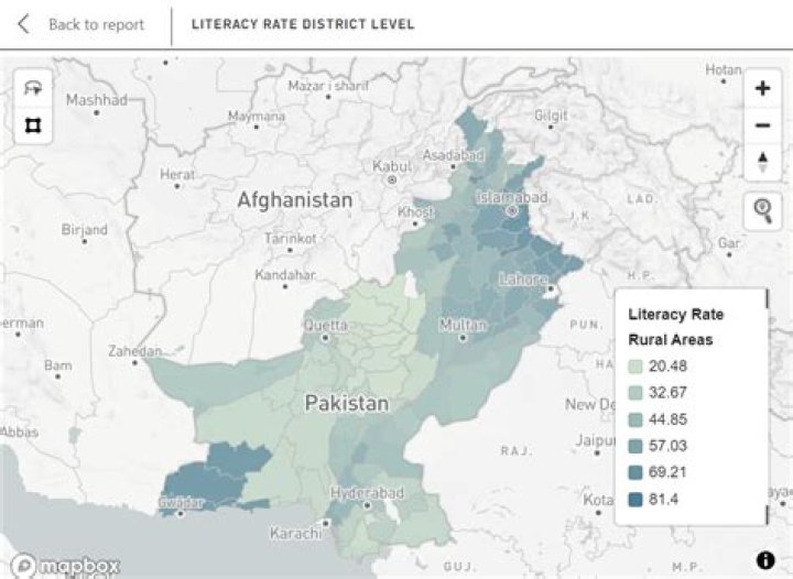 What is the current literacy rate of Pakistan in 2020 answer?