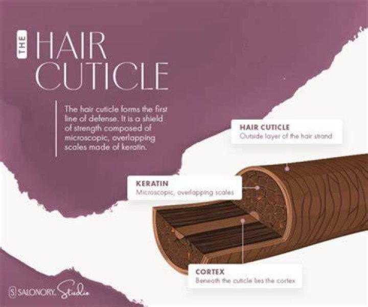 What is the cuticle of the hair made up of?