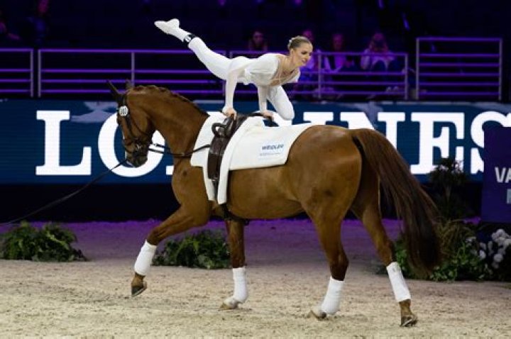 What is the definition equestrian?