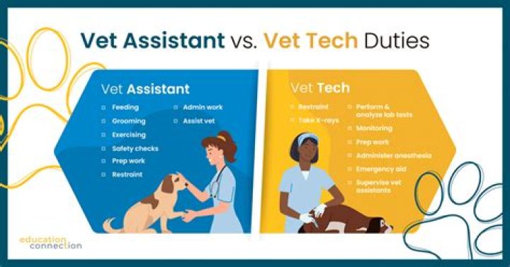 What is the difference between a veterinary assistant and a veterinary technician?