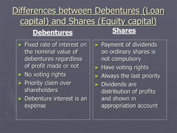 What is the difference between share capital and loan capital?