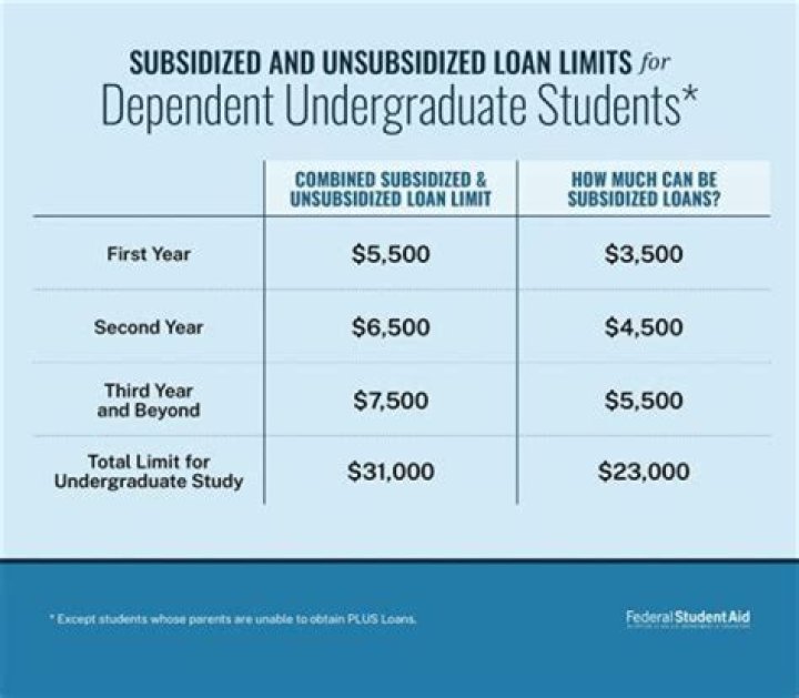 What is the most common undergraduate student loan?