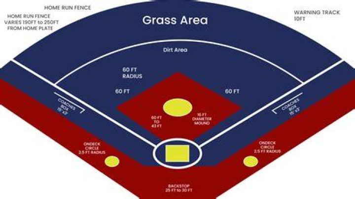 What is the radius of the softball?