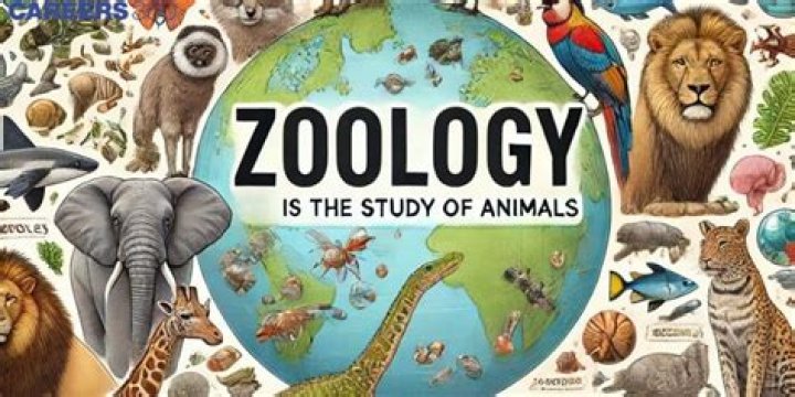 What is zoology the study?