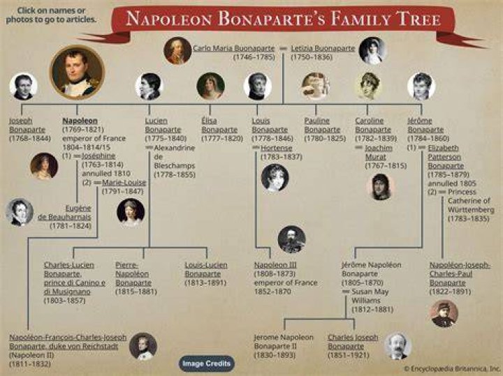 What kind of family was Napoleon born into?
