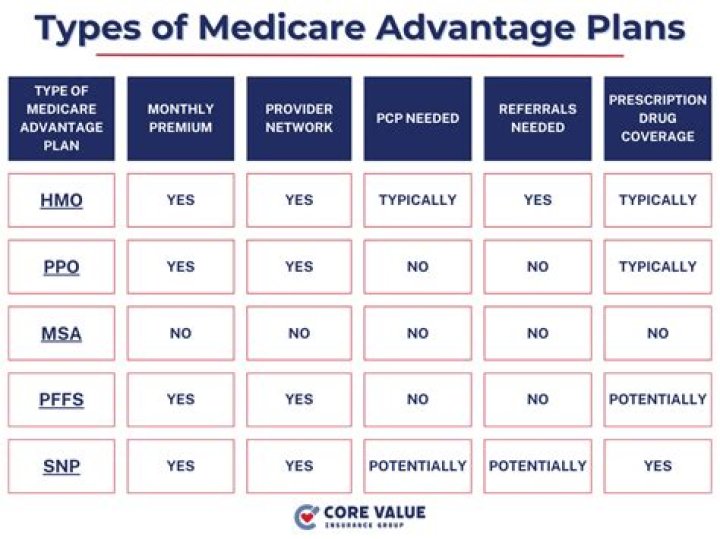 What kind of plan is the original Medicare plan?