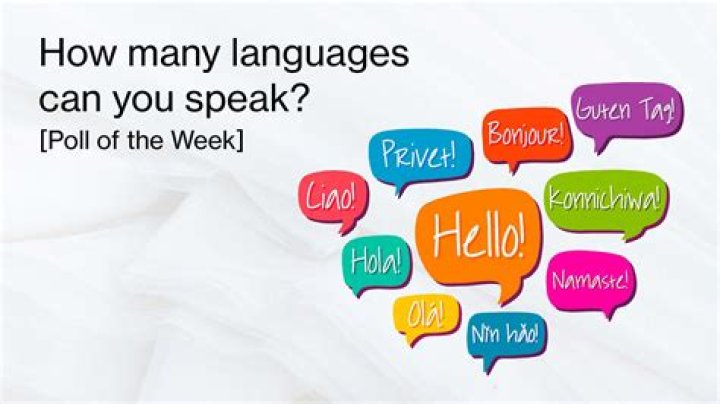 What languages does Hamid Karzai speak?