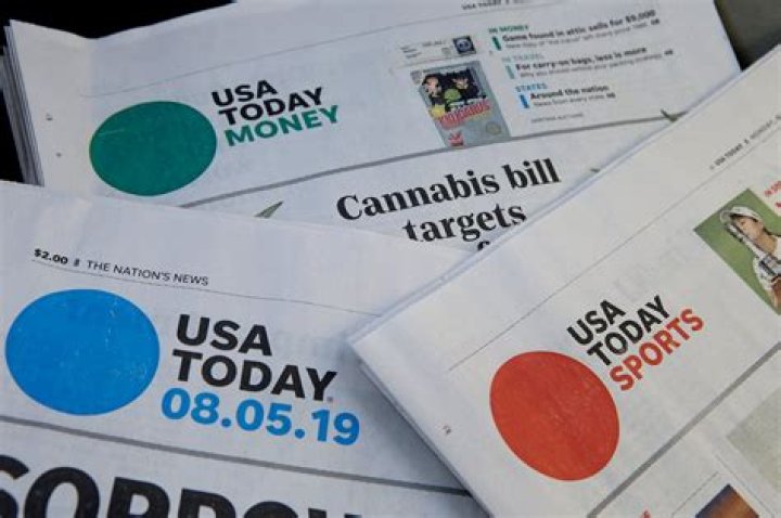 What local newspapers does Gannett own?