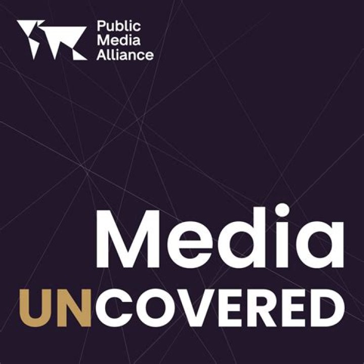 What means public media?