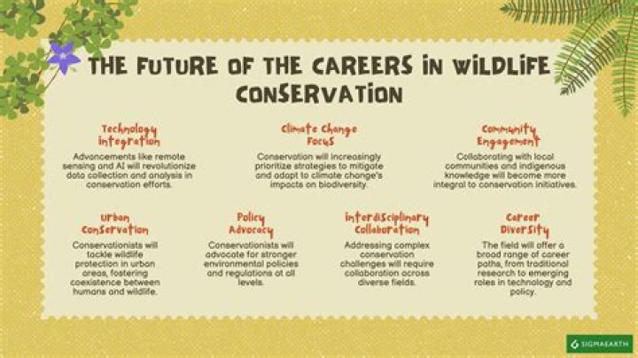 What qualifications do I need to be a conservationist?