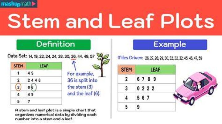 What should every stem and leaf plot have?