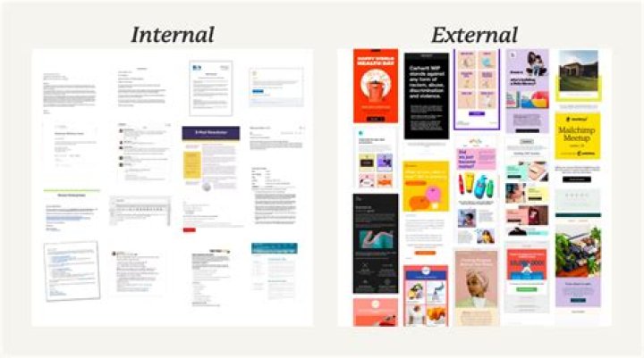 What software is used to create newsletters?
