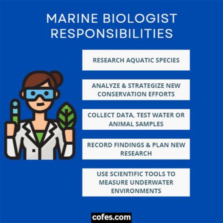 What tasks do marine biologist do?