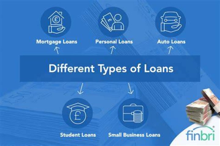 What two types of loans are considered predatory loans?