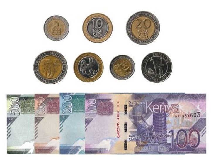 What type of money is used in Africa?