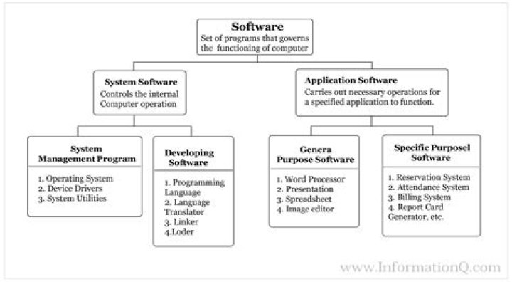 What type of software is Munis?