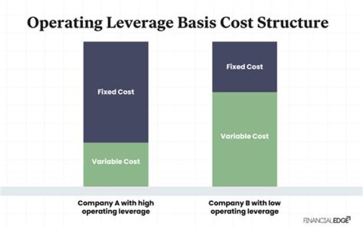 What types of companies or industries might be high operating leverage companies What are some examples?