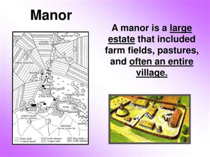 What was a large estate often including farms and a village ruled by a lord?