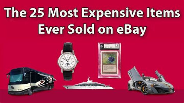 What was the most expensive item sold on eBay?