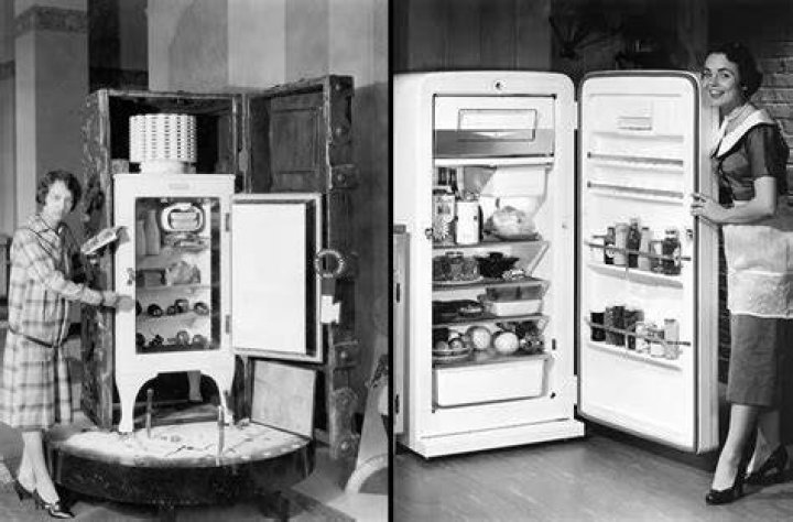 What was the newest way to purchase goods in the 1920s?
