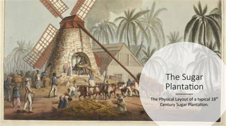 What was the provision grounds?