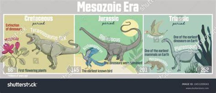 What were the significant events in Mesozoic Era?