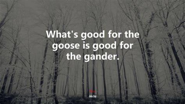 Whats good for the gander is?