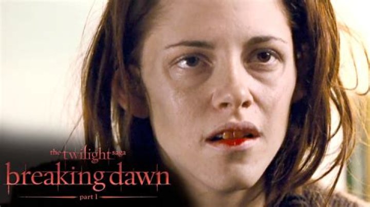 When was breaking dawn published?