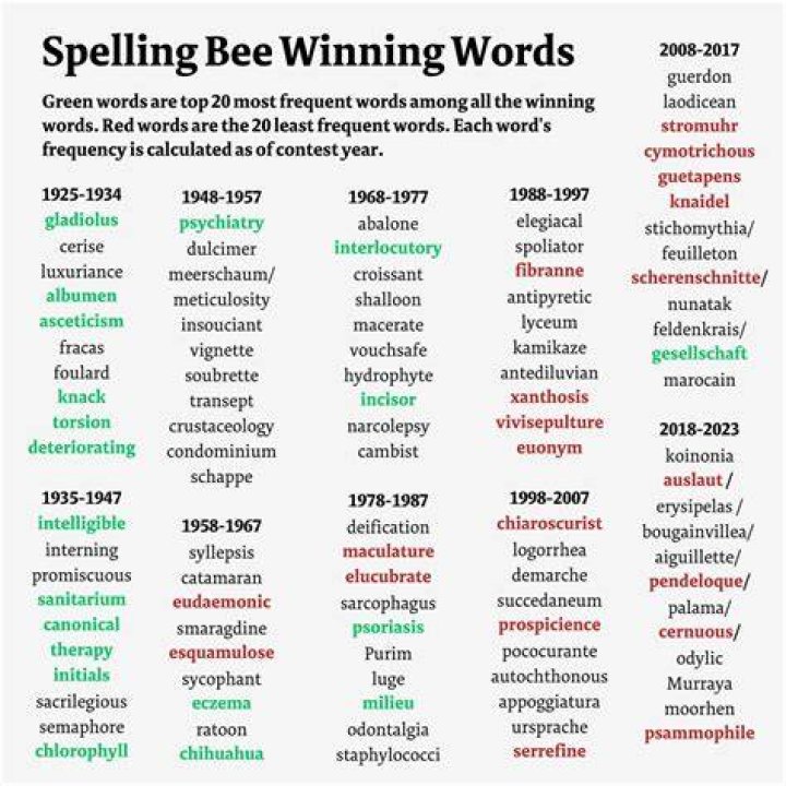 When was the first national spelling bee?