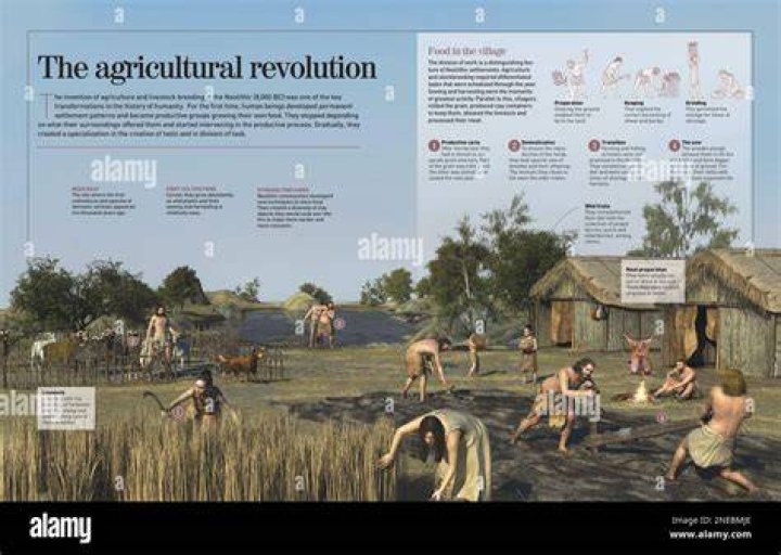 Where and when did farming start in the Americas?