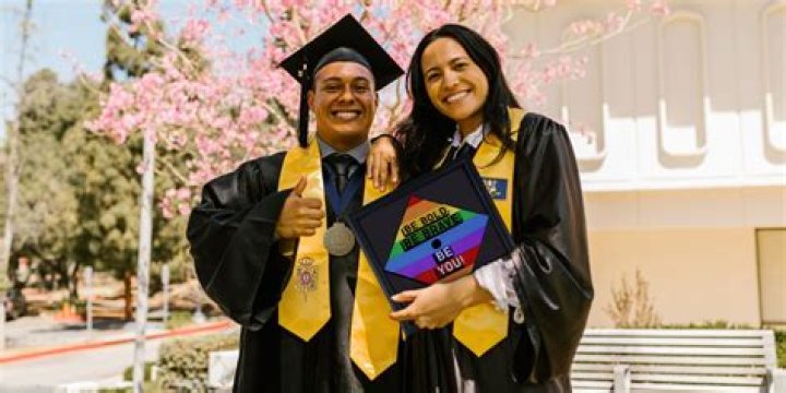 Where can I get MBA live projects?