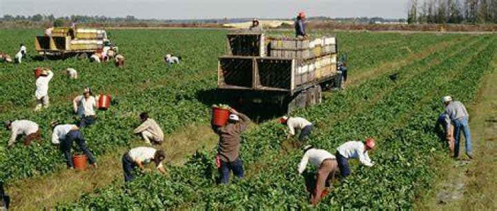 Where do migrant farm workers come from?