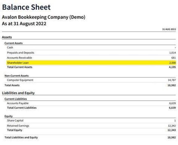 Where does shareholder loan go on balance sheet?