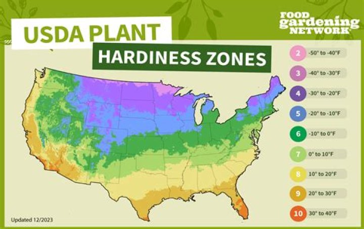 Where is the best place to grow a plant?