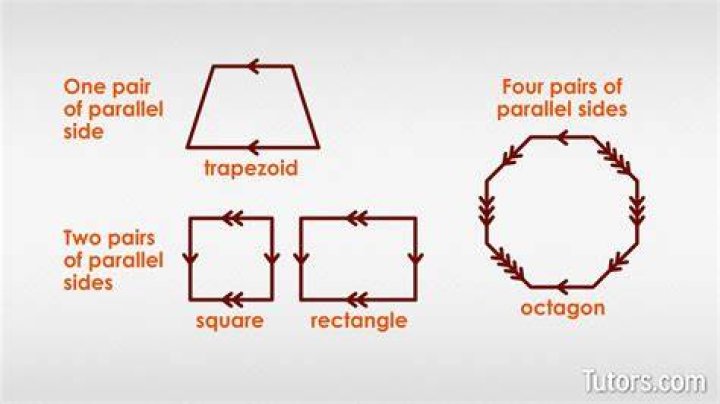 Which figure has a base that is a circle?