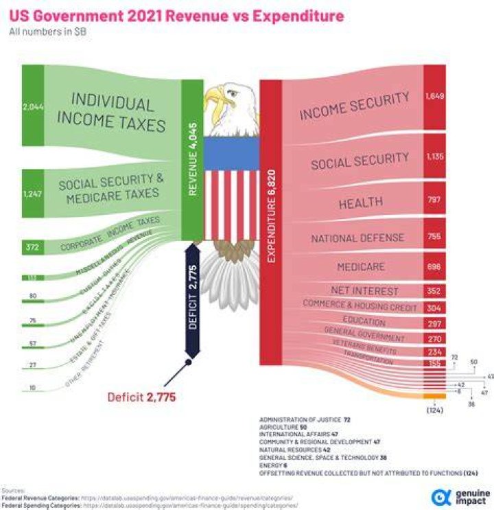 Which government can tax its citizens?