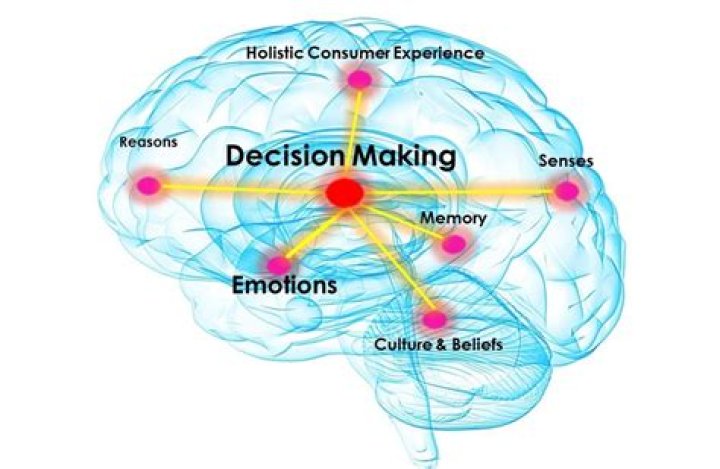 Which part of the brain is responsible for making decisions?