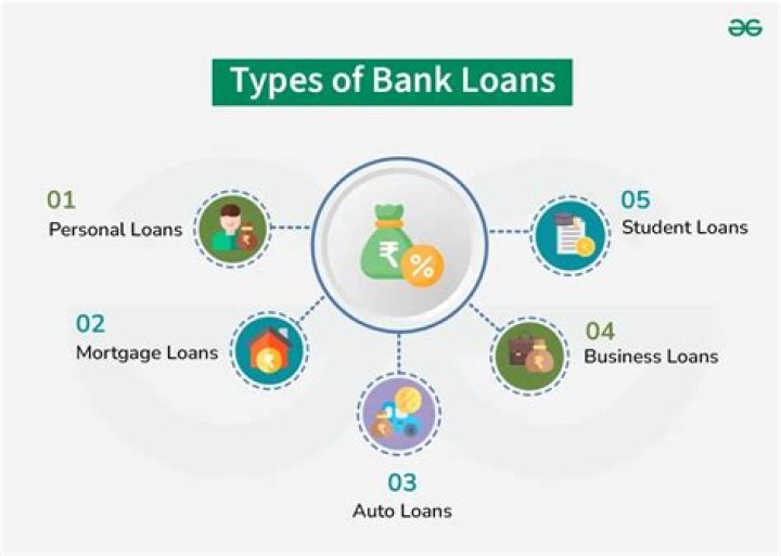 Which type of institution does not offer loans?