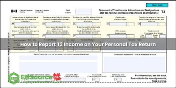 Who claims T3 income?