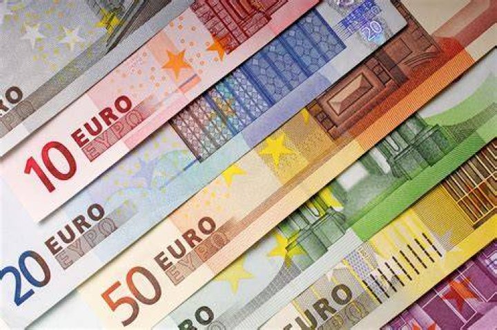 Who does the euro belong to?