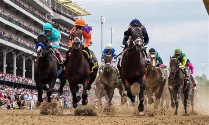 Who is the best jockey in America?