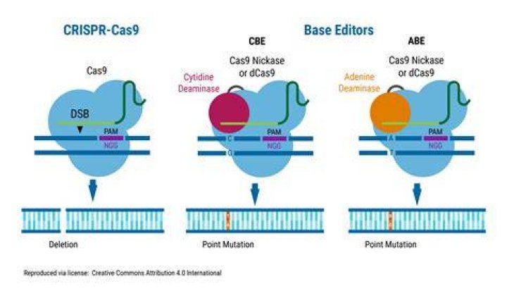 Who is the editor of DNA?