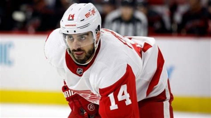 Who is the shortest player in the NHL?