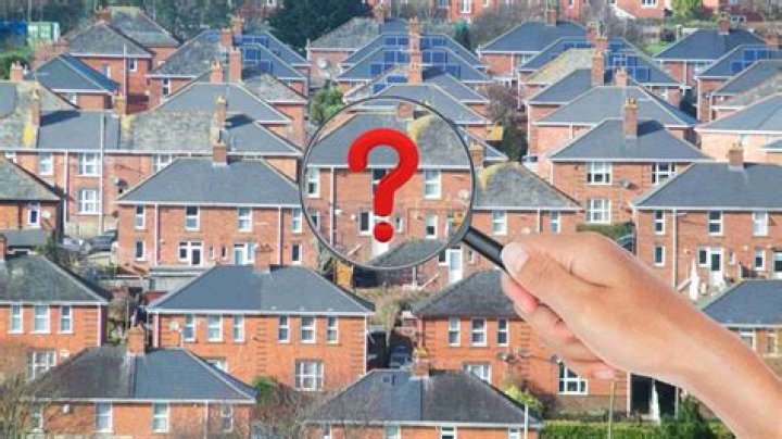 Who owns a tree on a property line UK?