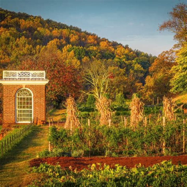 Who owns Monticello plantation?