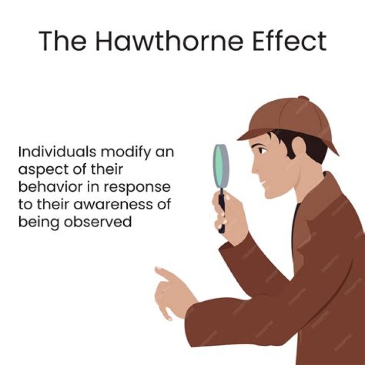 Why are the Hawthorne studies important to the study of organizational behavior?